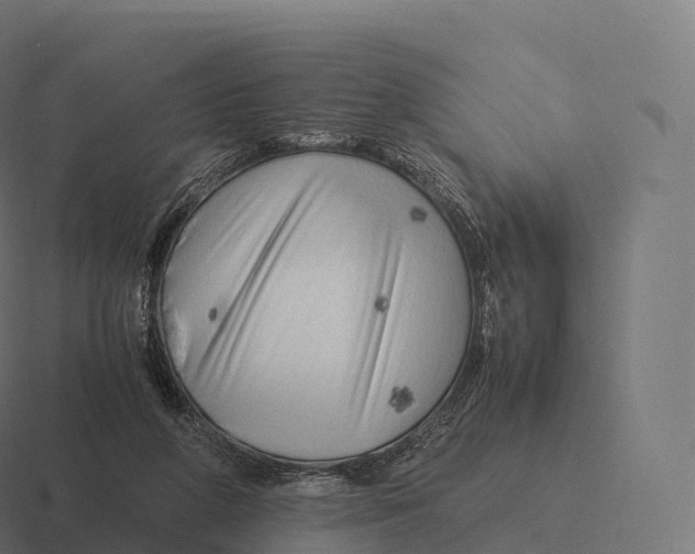 X0000116310210200912291457