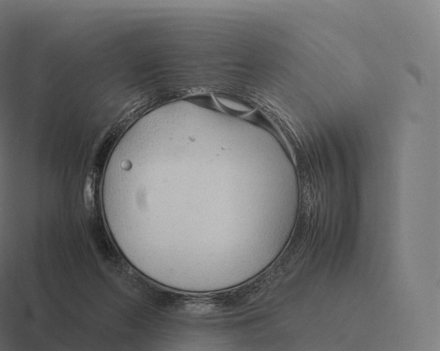 X0000116310214200912291457