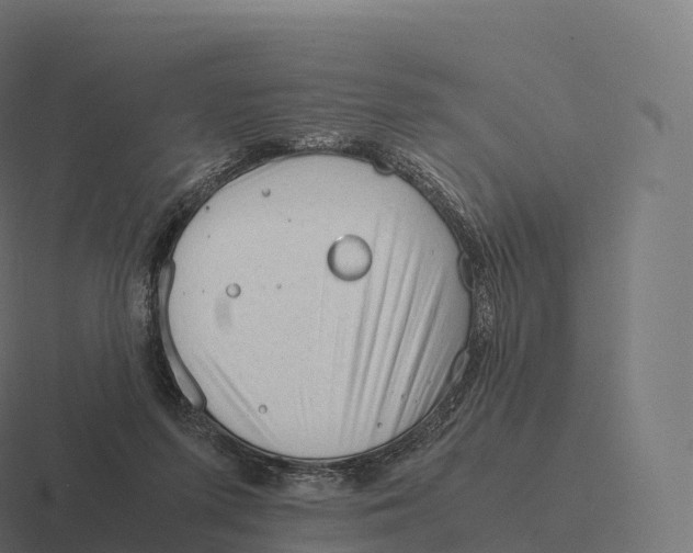 X0000116310215200912291457