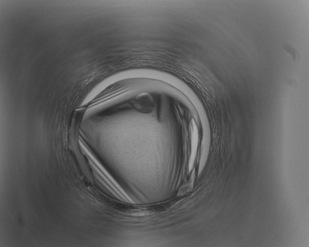 X0000116310219200912291457