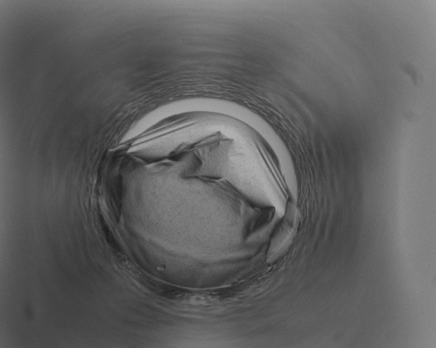 X0000116310223200912291457