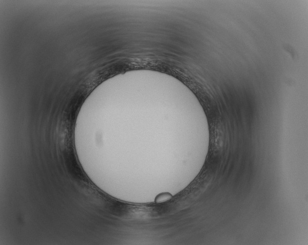 X0000116310226200912291457