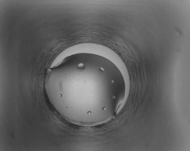 X0000116310231200912291457