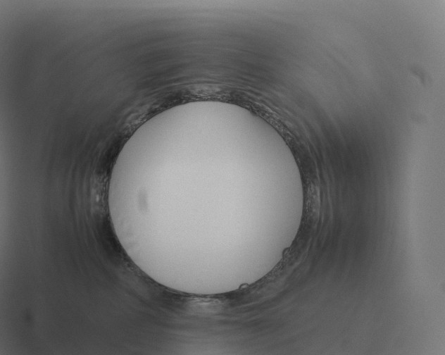 X0000116310234200912291457