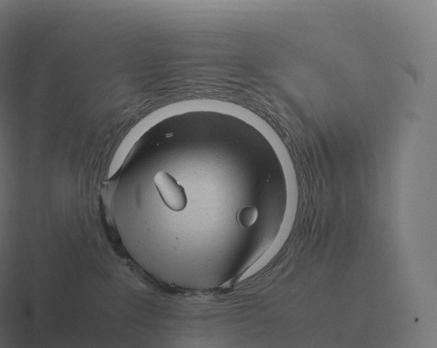 X0000116310235200912291457