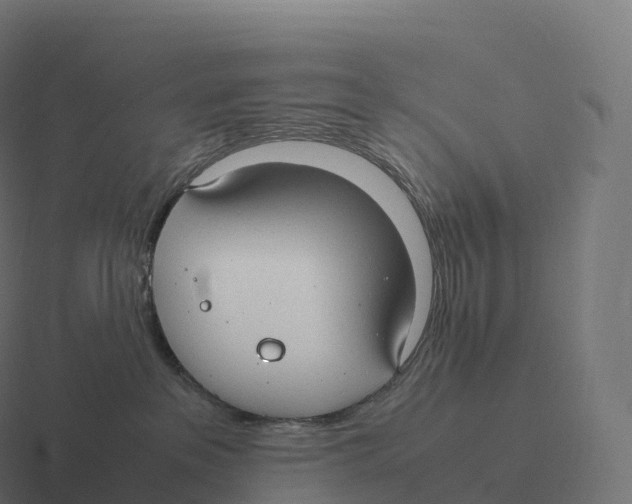 X0000116310237200912291457