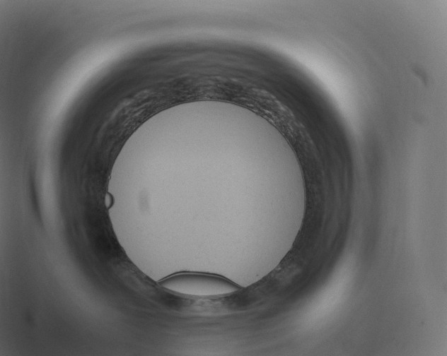 X0000116310239200912291457