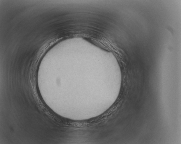 X0000116310241200912291456