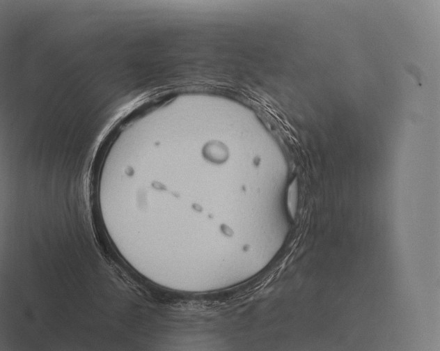 X0000116310244200912291456