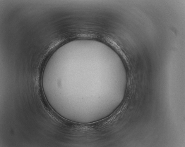 X0000116310249200912291456