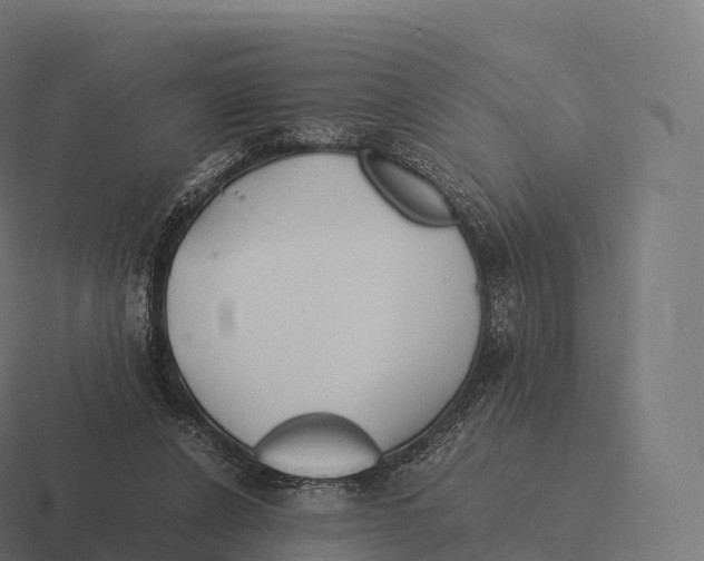 X0000116310256200912291457