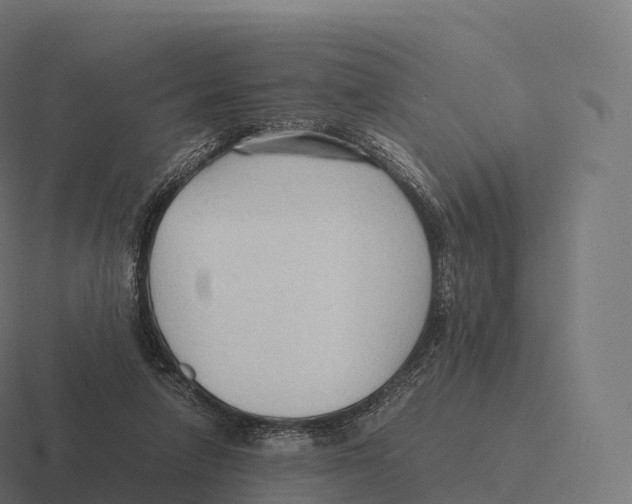 X0000116310258200912291457