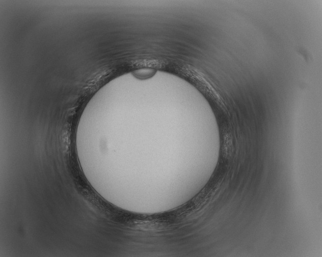 X0000116310259200912291457