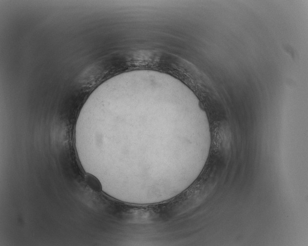 X0000116310272200912291457