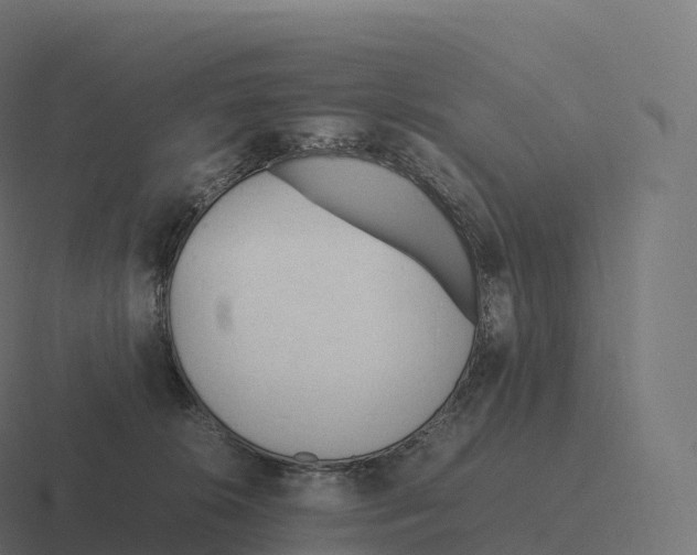 X0000116310276200912291457