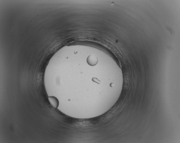 X0000116310278200912291457