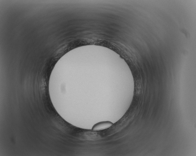 X0000116310279200912291457