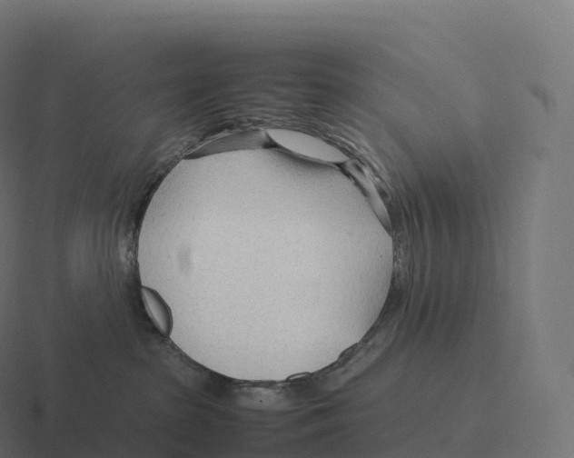 X0000116310285200912291457