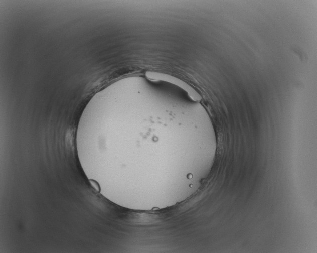 X0000116310286200912291457