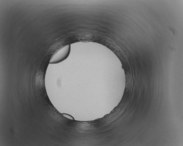 X0000116310287200912291457