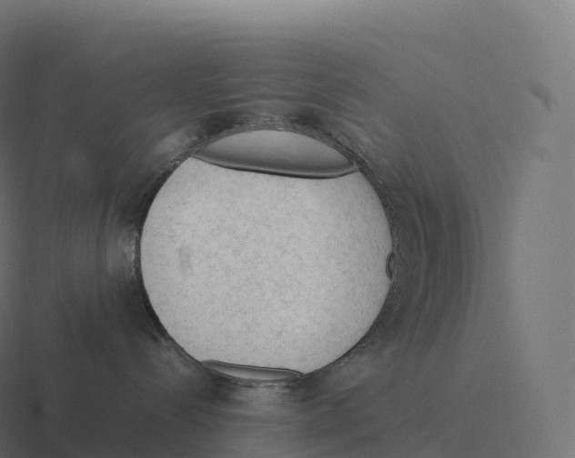 X0000116310288200912291457