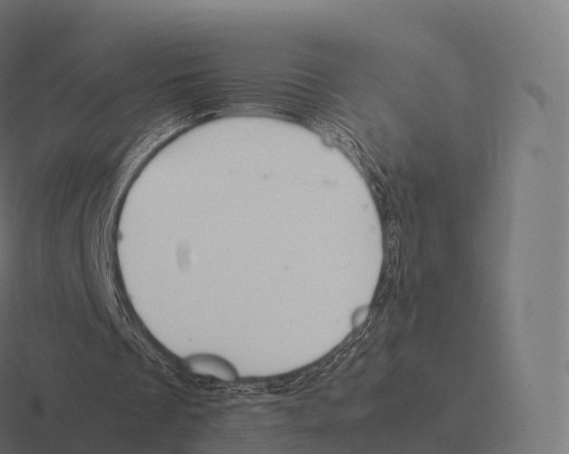 X0000116310289200912291456