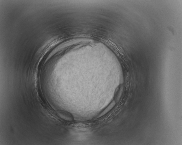 X0000116310290200912291456