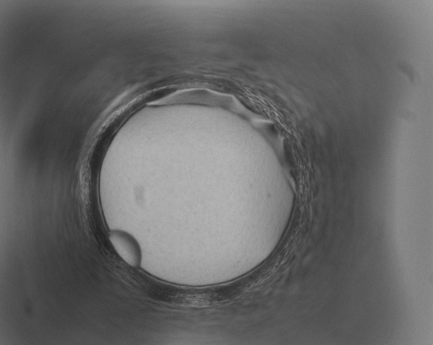 X0000116310295200912291456