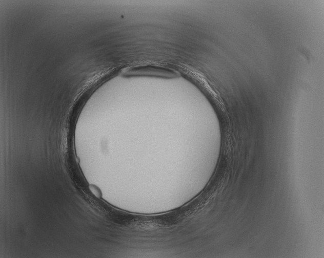 X0000116310299200912291456