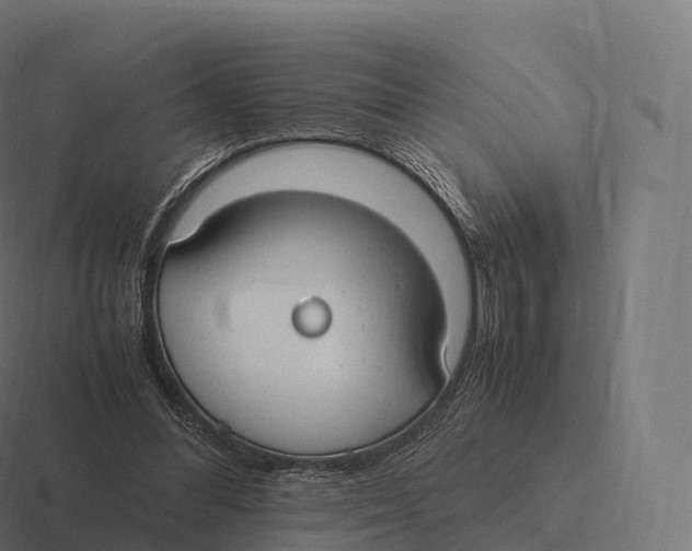 X0000116310300200912291456