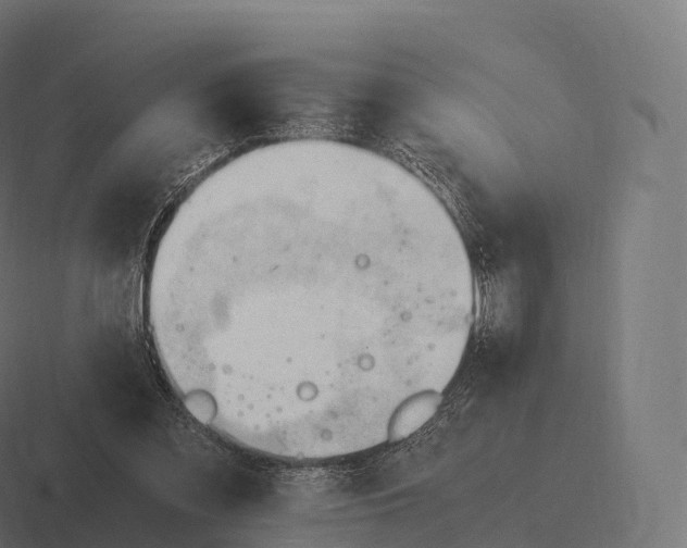 X0000116310301200912291456