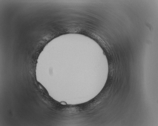 X0000116310307200912291456