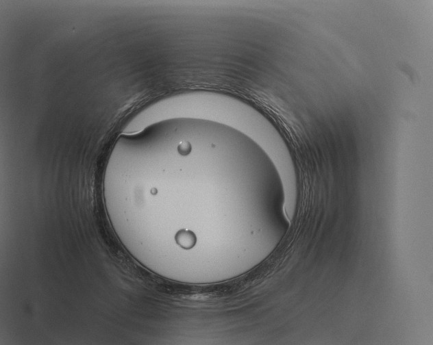 X0000116310312200912291456