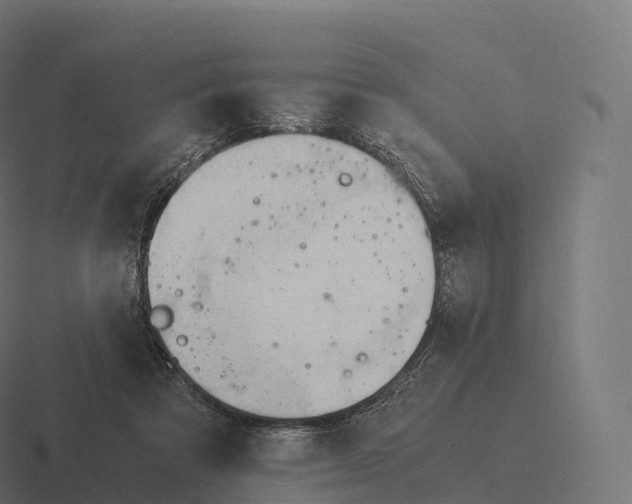 X0000116310313200912291456