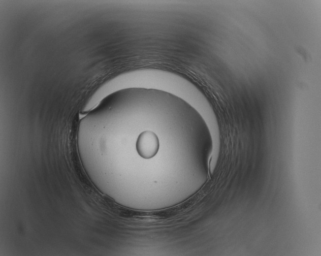 X0000116310316200912291456