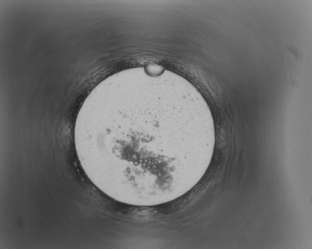 X0000116310321200912291456