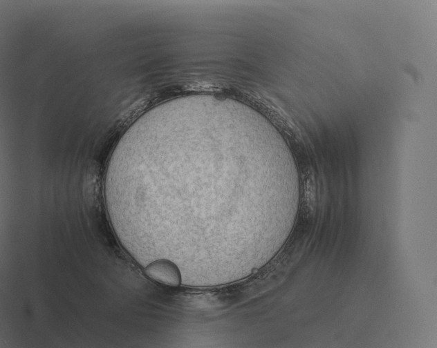 X0000116310322200912291456