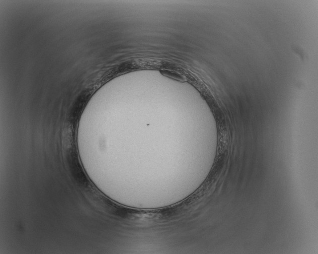 X0000116310323200912291456