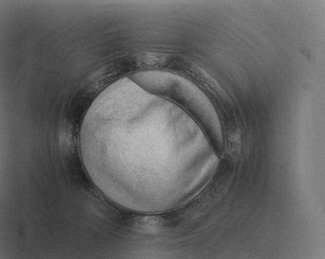 X0000116310324200912291456