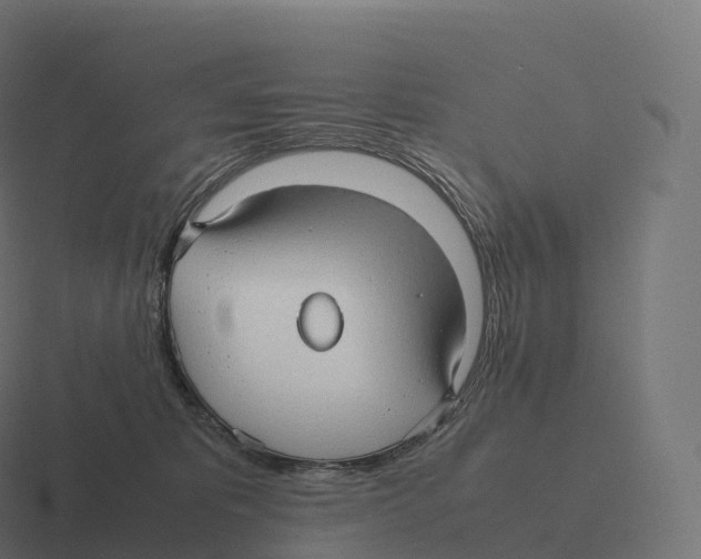 X0000116310325200912291456