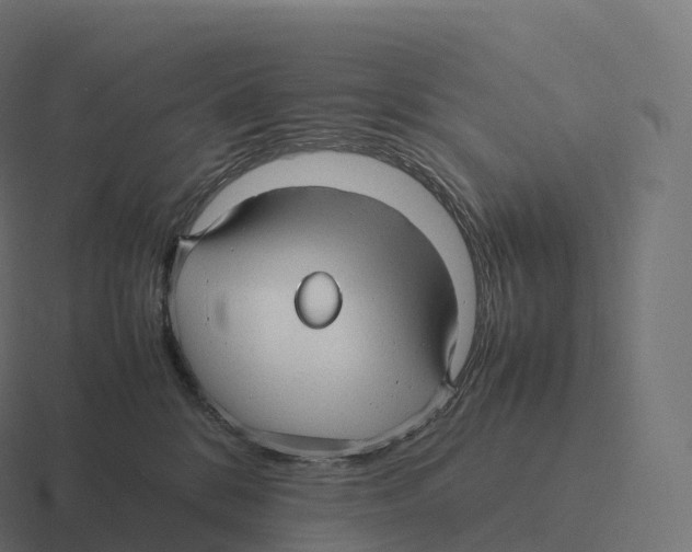 X0000116310328200912291456