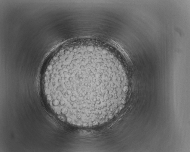 X0000116310346200912291455