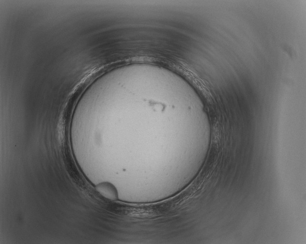 X0000116310347200912291455