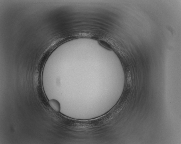 X0000116310351200912291455