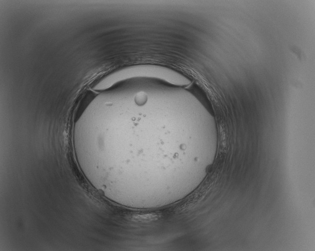 X0000116310357200912291455