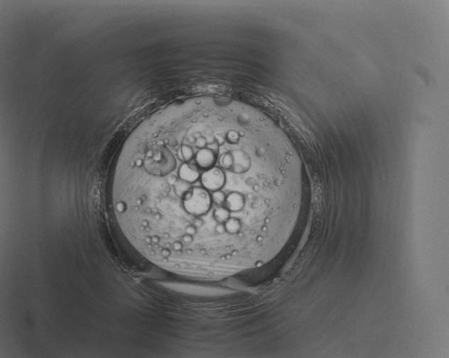 X0000116310363200912291455