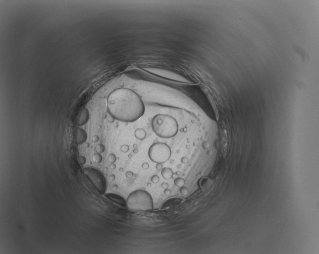 X0000116310367200912291456