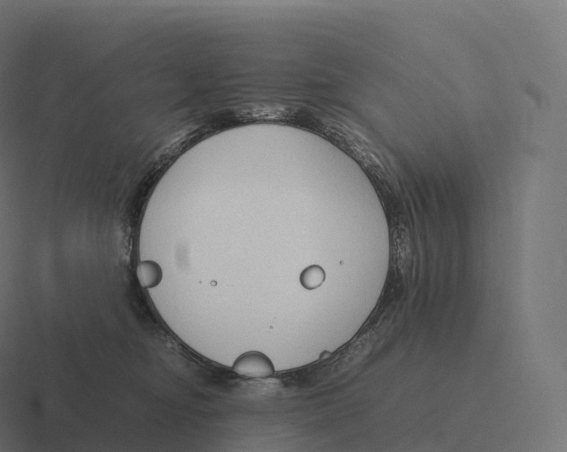 X0000116310374200912291456