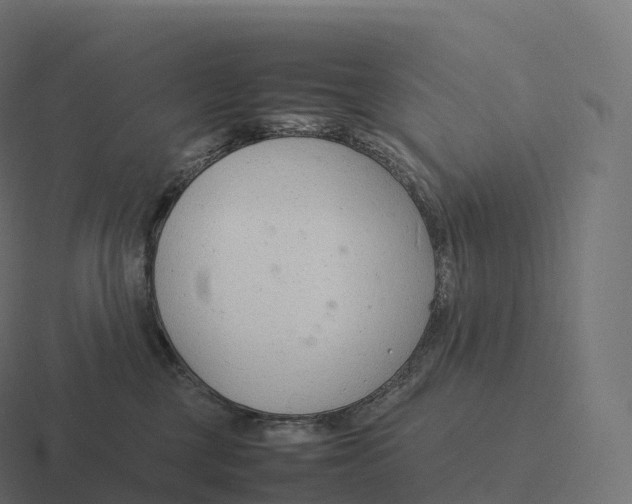 X0000116310377200912291456