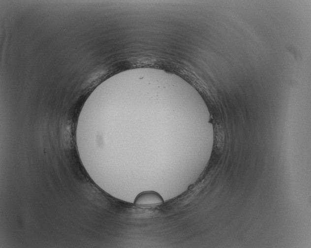 X0000116310378200912291456